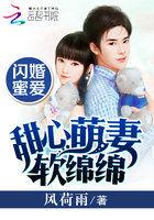 闪婚萌妻心尖宠