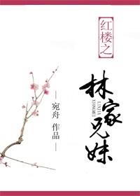 红楼之林家族叔
