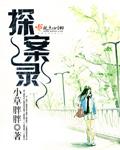女驸马探案录