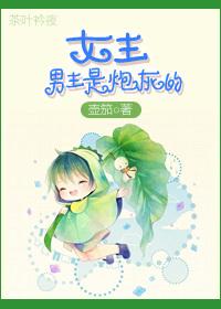 女主是炮灰甜宠文