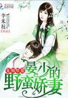 晏少私宠小甜妻