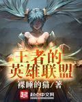 王者英雄联盟用平板