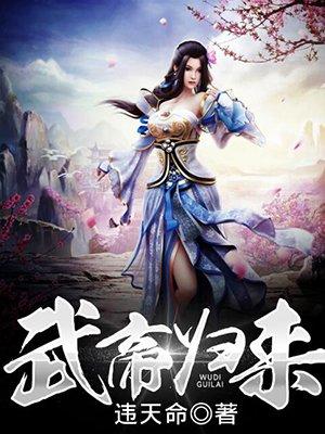 武帝归来林天