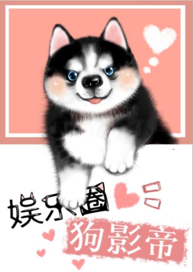 superpanda娱乐圈犬影帝