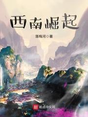 穿越西南崛起