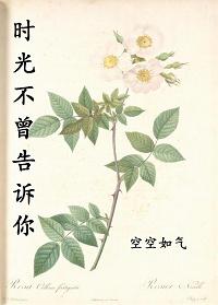 时光不曾忘记