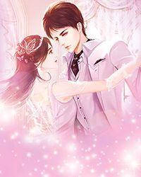 帝少结婚吧免费版