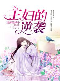 电视剧主妇
