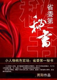 官场之省委书记