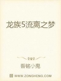 流离之人追逐幻影