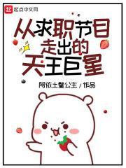 一个求职的综艺节目
