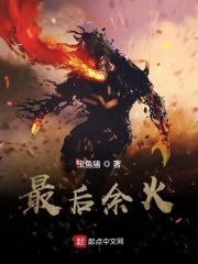 最后的余晖什么意思