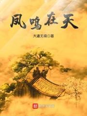 凤鸣什么什么