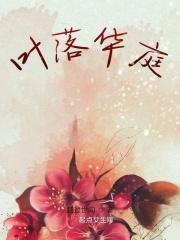 叶落忆全部