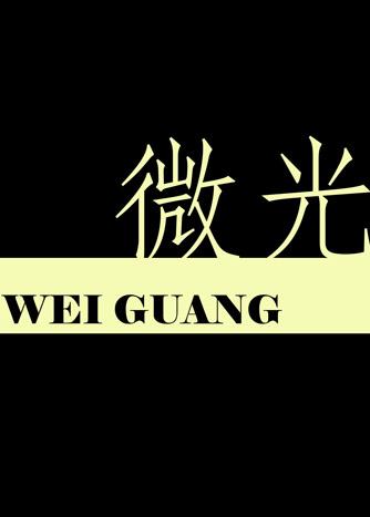 微光股份董事会决议公告