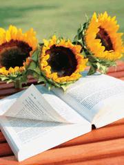 过江龙有什么用处