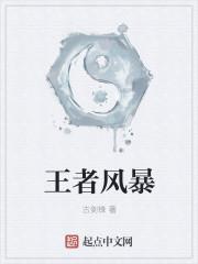王者风暴壁纸