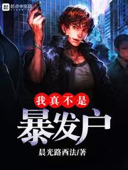 我真不是大boss