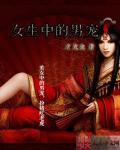 女生收男宠的游戏