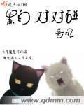 黑白对联什么意思