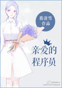 亲爱的程序员TXT