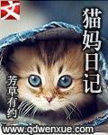 猫妈日记小视频大全
