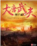 大唐武易官网