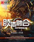 什么叫做肢体冲突