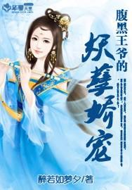 娇宠腹黑王爷玲珑妃