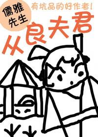 从良夫君 儒雅先生