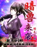 暗影守望