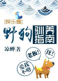 野狗驯养指南凉蝉讲了什么