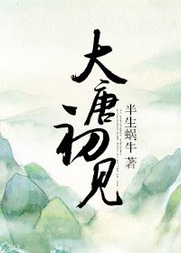 穿越大唐初期的