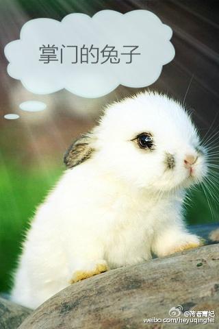 掌门的妻子叫什么