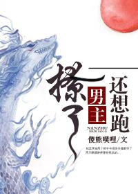 撩了男主他哥全文阅读