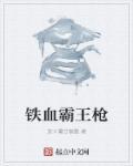 铁血枪王电视剧全集在线观看