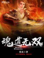 无双三国魂