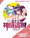 重生之盗贼行天下全本