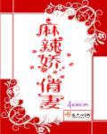麻辣俏媳顾乔月