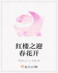 穿越红楼之花开迎春