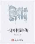 三国演义中的何进是什么人