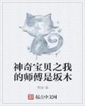 神奇宝贝中师傅的图片