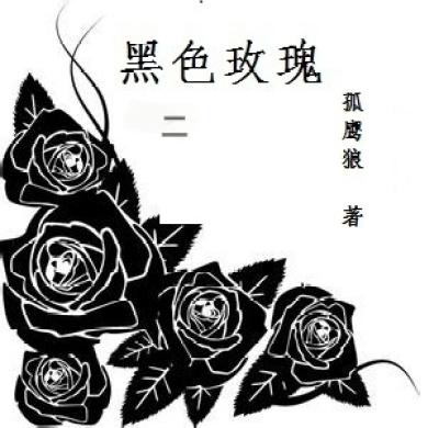 黑色玫瑰ip