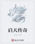 启天集团是干什么的