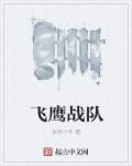 飞鹰战队手游