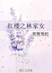 红楼之林家女夜雨