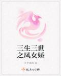 三生三世之凤凰翎电视剧