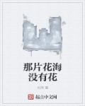 那片花那片海歌曲名叫什么?