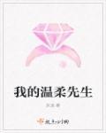 我的温柔先生by余欢