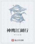 神鹰系列剧都有哪些